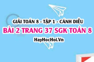 Giải bài 2 trang 37 Toán 8 Tập 1 SGK Cánh Diều